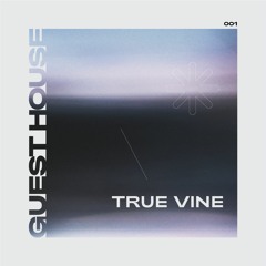 True Vine | GUEST HOUSE | SEASON 1 EPISODE 001