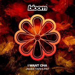 James Fairhurst - I Want Cha