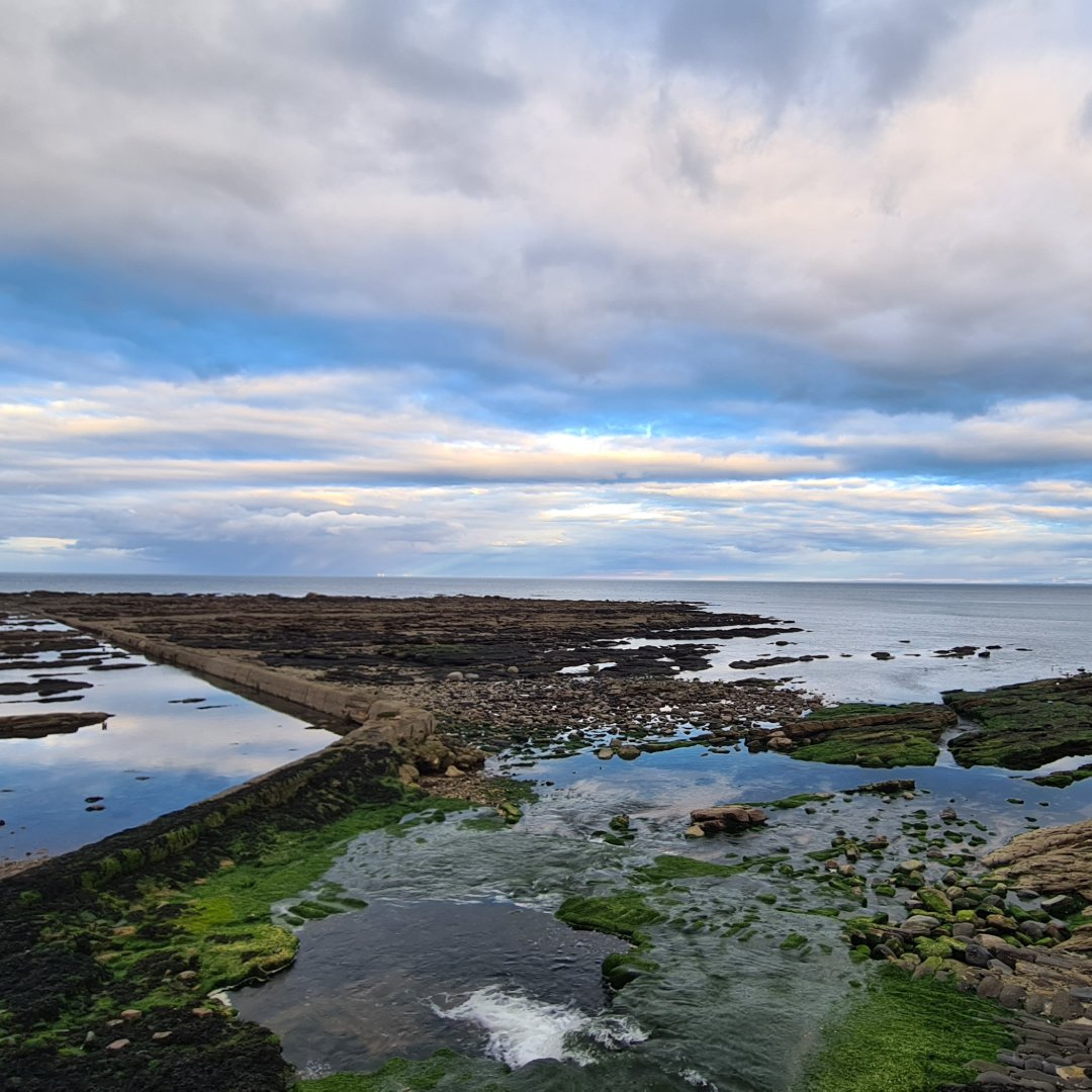Arbroath Harbour episode artwork