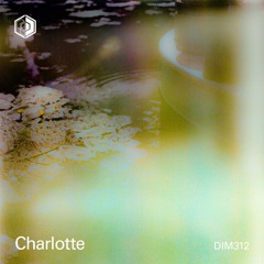 DIM312 - Charlotte