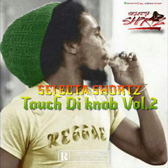 Selecta Shortz- Touch Di Knob Vol.2