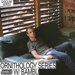 ORNITHOLOGY SERIES W/ BAMBU 04/07/2022