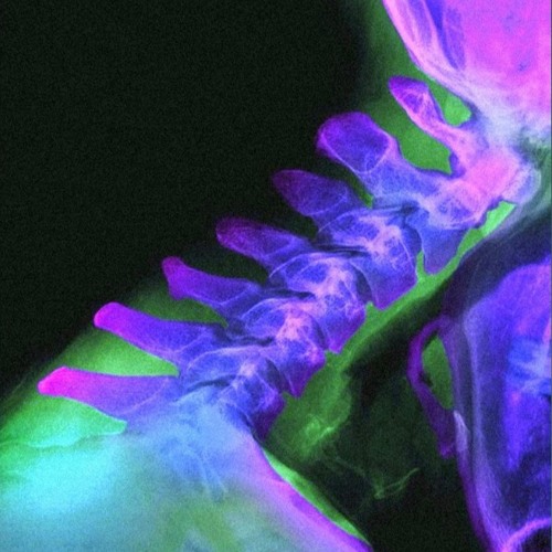 Dripped Out Frequencies VOL.2