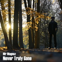 Never Truly Gone