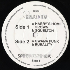 Rural Groove Foundation - Rurality [1995]