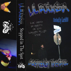 STEPPED IN THE SPOT (tape rip) HOSTED BY LV*RK