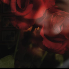 Chi la cai co cua em - nghĩa