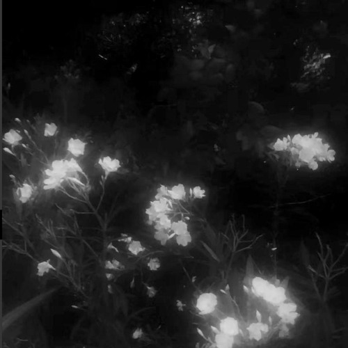 Chris Grey - WRONG (Sped Up)