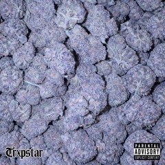 You the one❤️‍🩹(Trxpstar x cashNvelly)