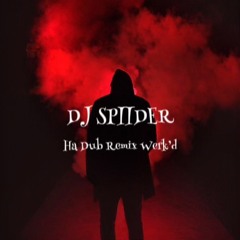 Ha Dub Remix Werk'd