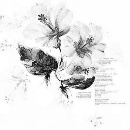 Debro - Elusions (@xofade, @skylarr)