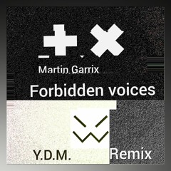 Martin Garrix - Forbidden voices (Y.D.M Remix)