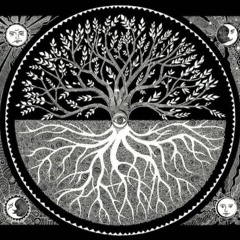 MI CALI BELLA!!.. LA MEDIA LUNA @MIGUELPRETTEL