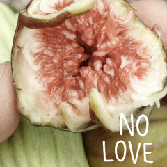 OH TEBINS - NO LOVE