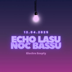Echo Lasu Noc Bassu DJ Contest - Erwin Rasel