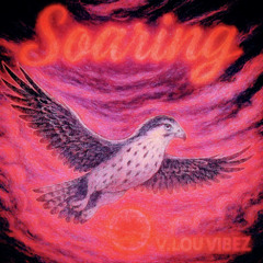 Soaring (Prod. V. Lou Vibez) ($LOWED)
