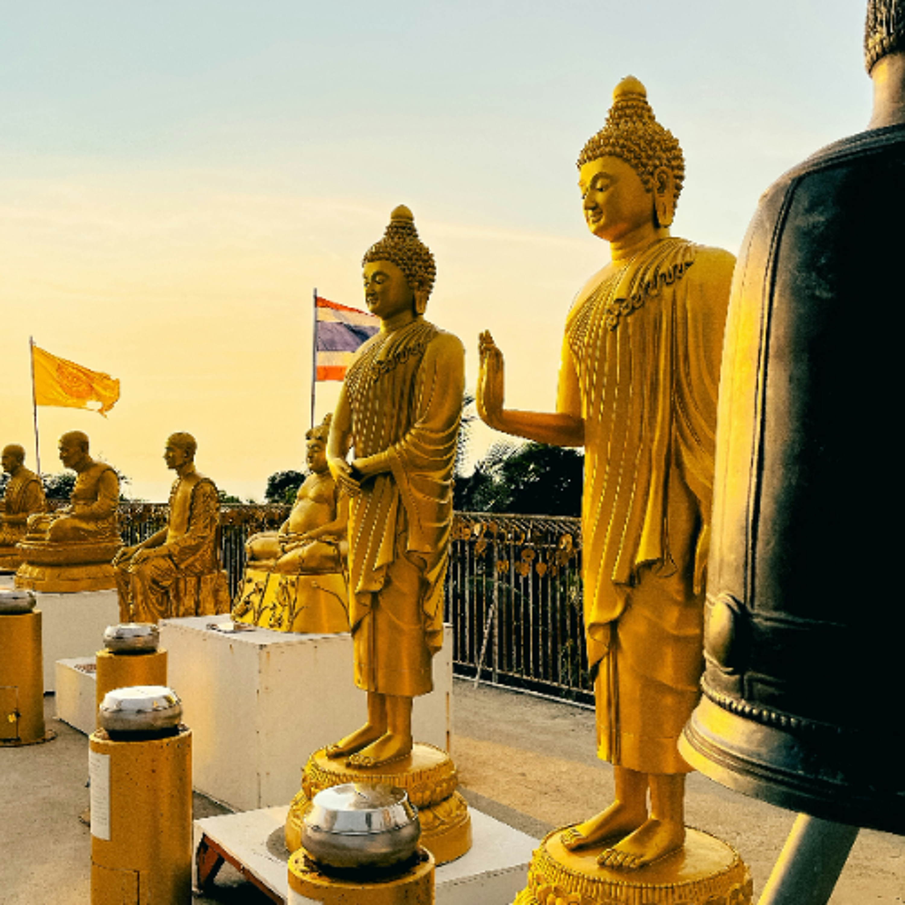 Associazione Kalyanamitta: Meditazione, Mindfulness, Buddhismo