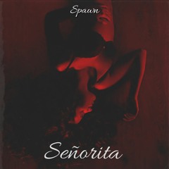 Spawn - Señorita (Extended Mix)