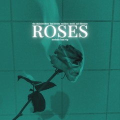The Chainsmokers, Last Heroes, Excision, Wooli, AU5 - Roses  (ELUSID MELODIC VIP MASHUP)