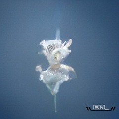 icesis