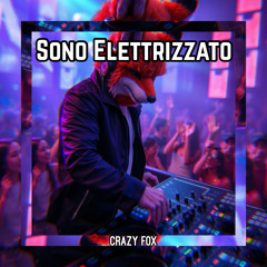 Sono Elettrizzato
