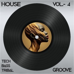 Electronic House-0004