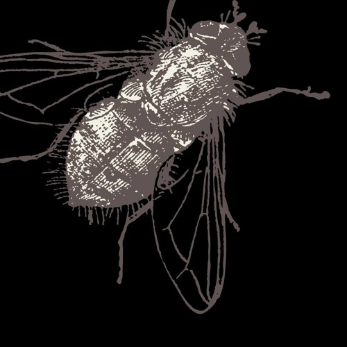 B.S (oldGreenTangerineSong) studio version