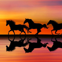 ‎⁨فؤاد عبدالواحد - خطيرة ⁩