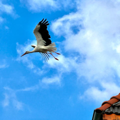 In Between - Sabine Mantel