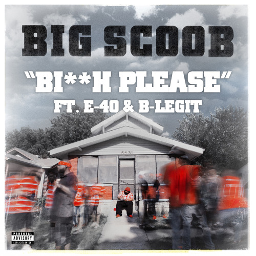 Bitch Please (feat. B-Legit & E-40)