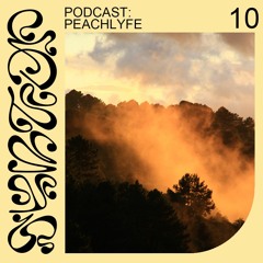 Syntop Audio 10 - Peachlyfe