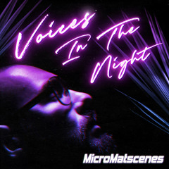 MicroMatscenes - I could not forget