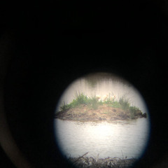 What Is It You're Searching For