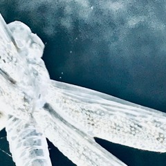 Mon nuage est un canapé