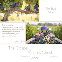 Voice Note for 20241218 - TheGospelofJesusChrist-Part19-John15-TheTrueVine