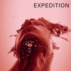 Expedition 033 by Safa (Christmas Special Old/Gold)