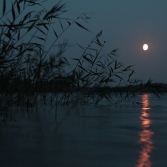 Moon River (Cover)