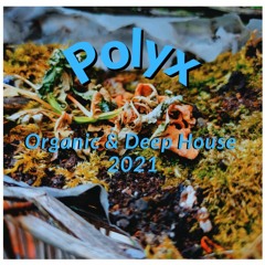 Organic/Deep House Mix 2021