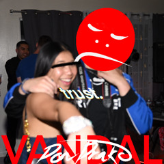 vandal x gmo - trust.