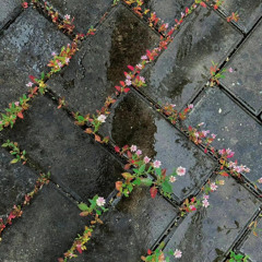 với em kỷ niệm là gì - Ngoc Khanh Chi ( Cover )