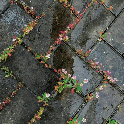 với em kỷ niệm là gì - Ngoc Khanh Chi ( Cover )