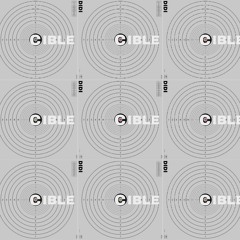 CIBLE (FRAGMENTS #4)