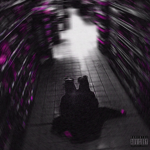 ПЕЧАЛЬНАЯ ЖИЗНЬ НОСАТОЙ