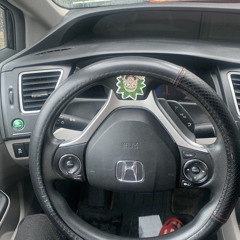 PLUGBOYSANTHEM w/ young celex