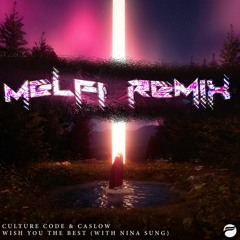 Wish You The Best (MELFI Remix)