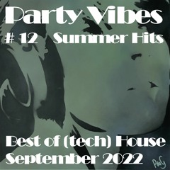 Party Vibes #12 Summer Hits 2022 [John Summit, Gabsy, Moojo, Biscits, Stylo X Space Motion & more]