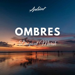 Dropout Marsh - Ombres