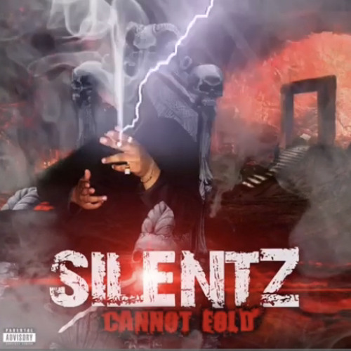 SilentzMDG - Cannot Fold