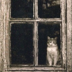 Zenith (mellomix)2-28-16