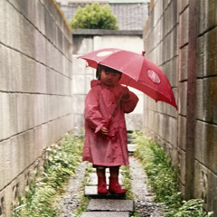 結のテーマ